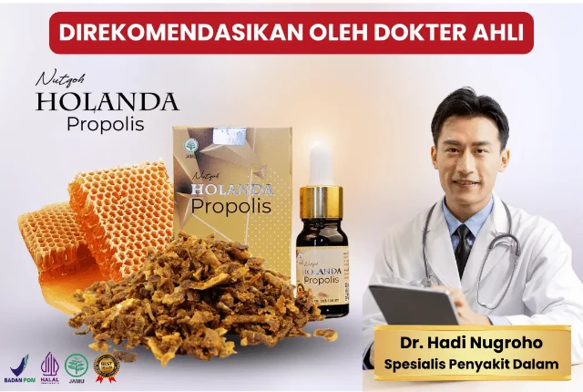 1751086294130-hadi nugroho-min